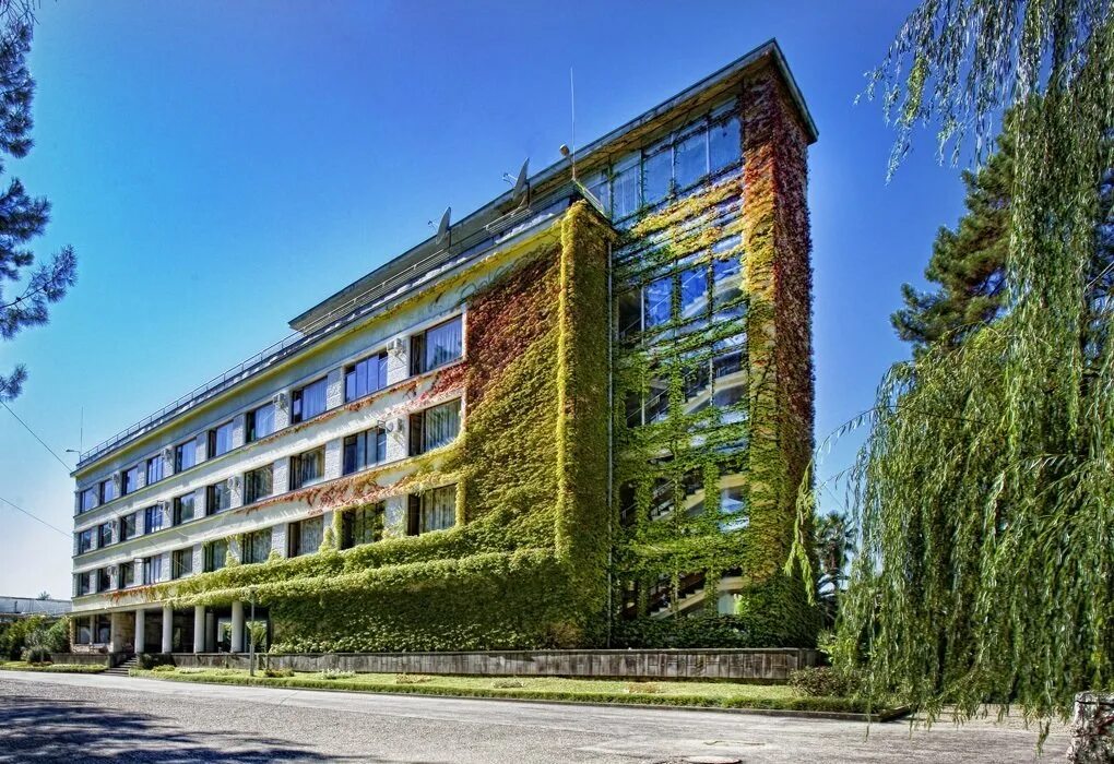 Пицунда санаторий роща. Соснова роща абхазия пансионат. Отель сосновая роща пицунда. Пансионат сосновая роща абхазия. Самшитовая роща абхазия пицунда.