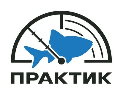 Компания практик