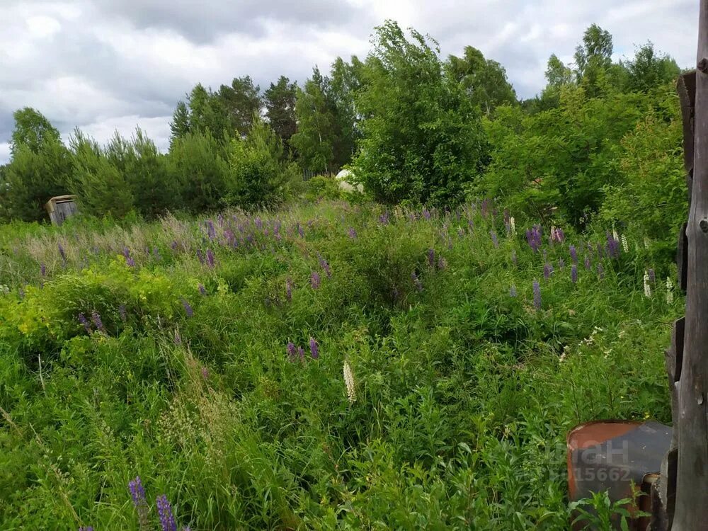 Участок снт родничок. Село Первомайское Нижнесергинский. Первомайское Свердловская область Нижнесергинский район. Село Первомайское Нижнесергинский район Свердловская область. СНТ Родничок.