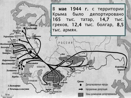 План депортация