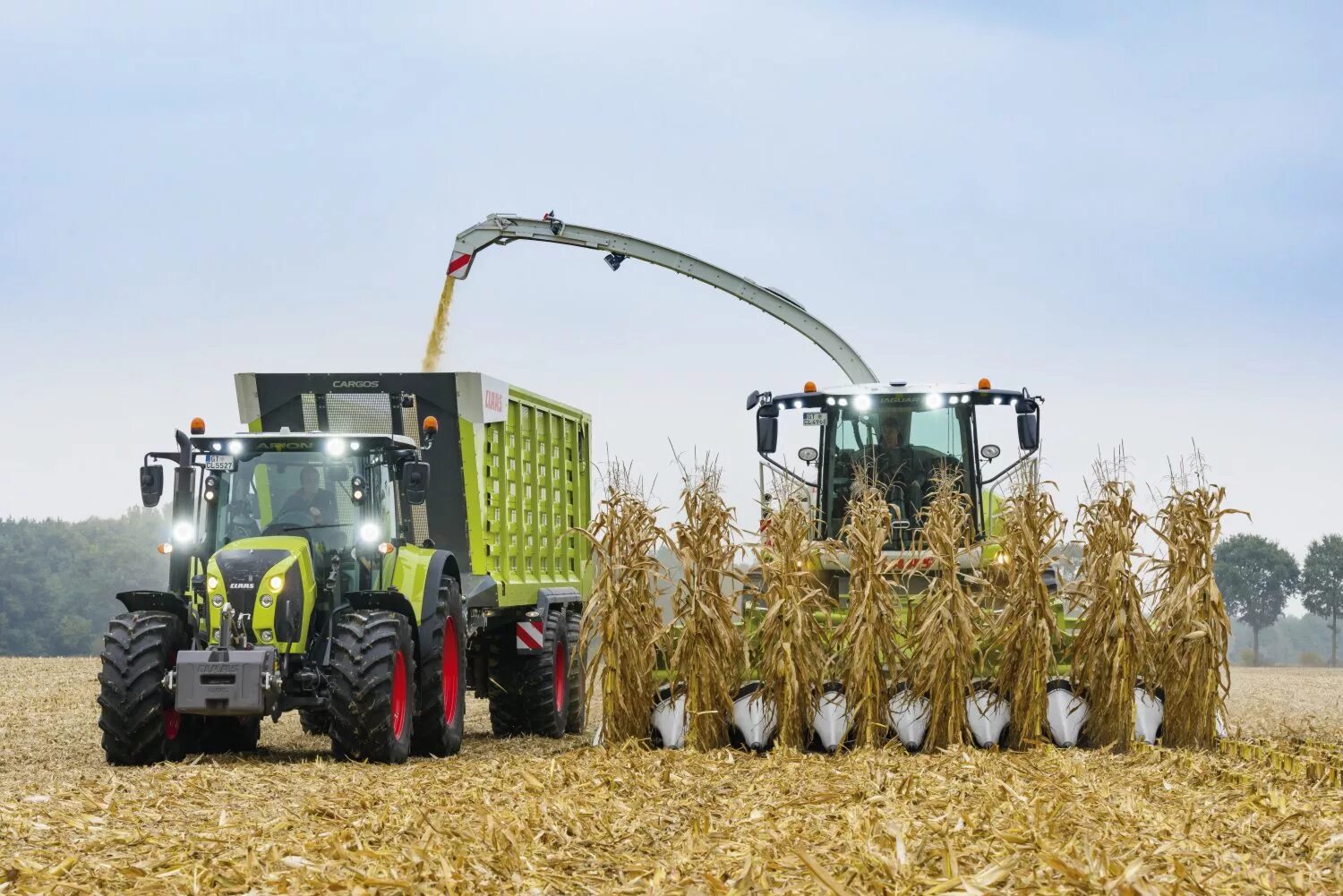 Комбайн Ягуар Силосование. Силос кукурузный. CLAAS 5000 VSL 450 Мираторг. Немецкий комбайн для уборки силоса е333.