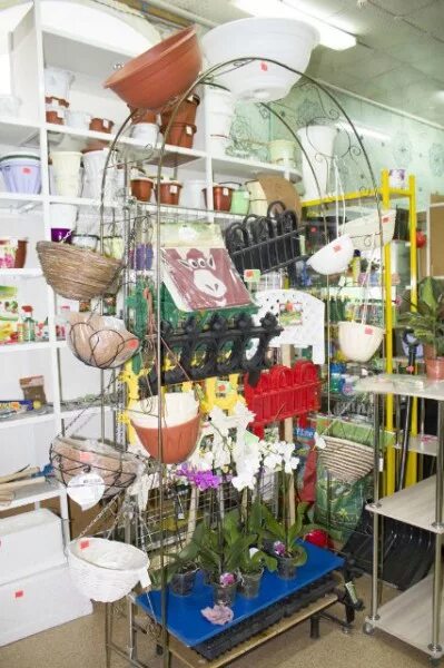 садовый мир логотип. садовый мир логотип. магазин садовый мир. магазин семян. садовод нет.