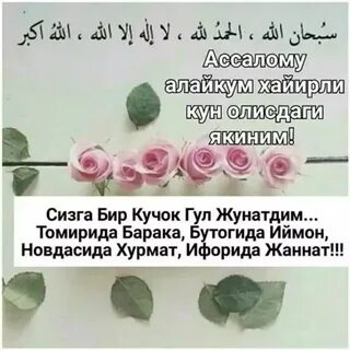 Кун хакида