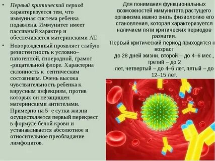 Первый иммунитет