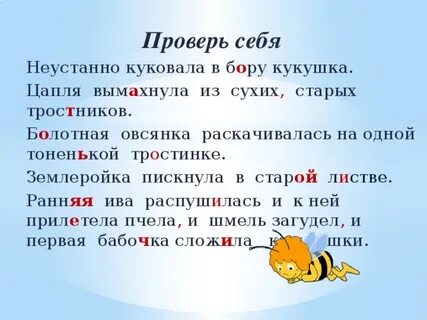 Кукушка куковала в бору
