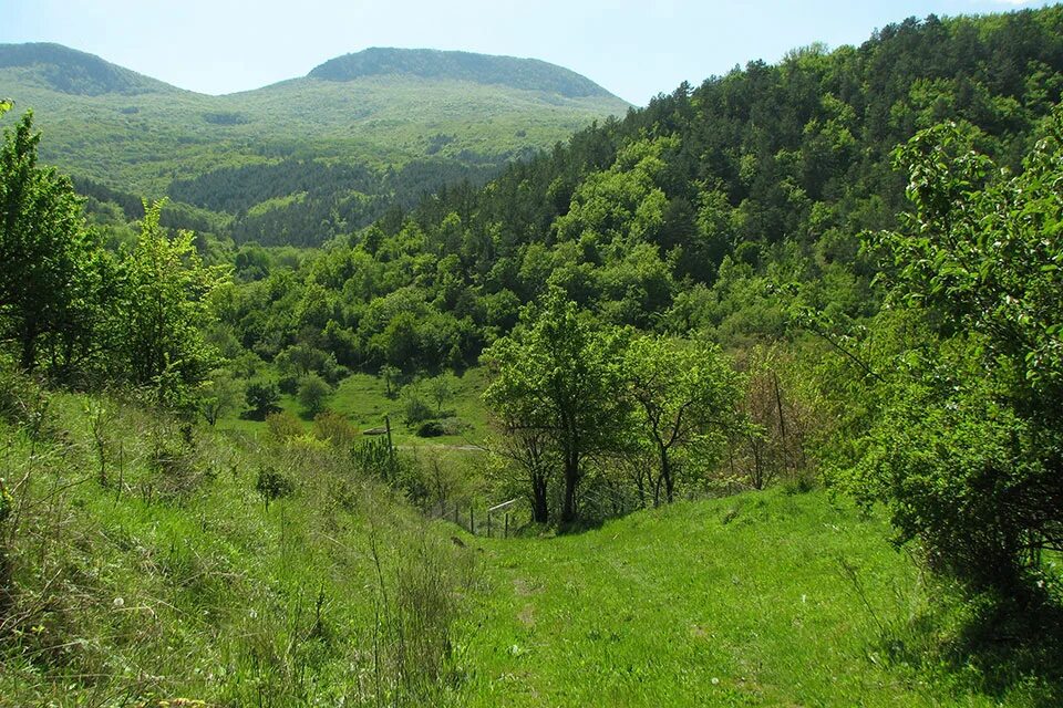 Многоречье бахчисарайский. Горец Многоречье. Горец, село Многоречье. Многоречье Бахчисарайский район. Многоречье Бельбек Крым.