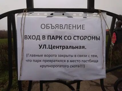 Больше объявлений