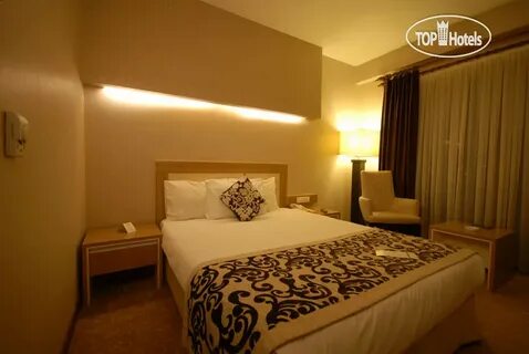 Hotel search