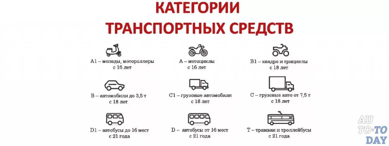 Категория б сколько пассажиров. Транспортные средства категорий n2 и n3. Транспортные средства категории м1 м1g n1g. Транспортных средств категорий m2, m3. Транспортные средства категорий m3 и n3.