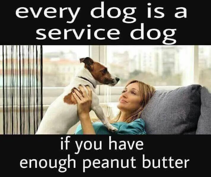 Women was a dog. Butter Dog meme. Мем про собак и белых женщин. White woman and Dog Мем. Girl Peanut Butter Dog.