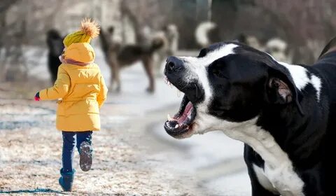 Орыс әйелі достарымен свингер