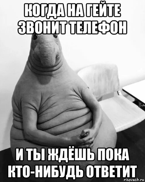 Когда выйдет ждун. Ждун. ждун мемы. ждун игорек.