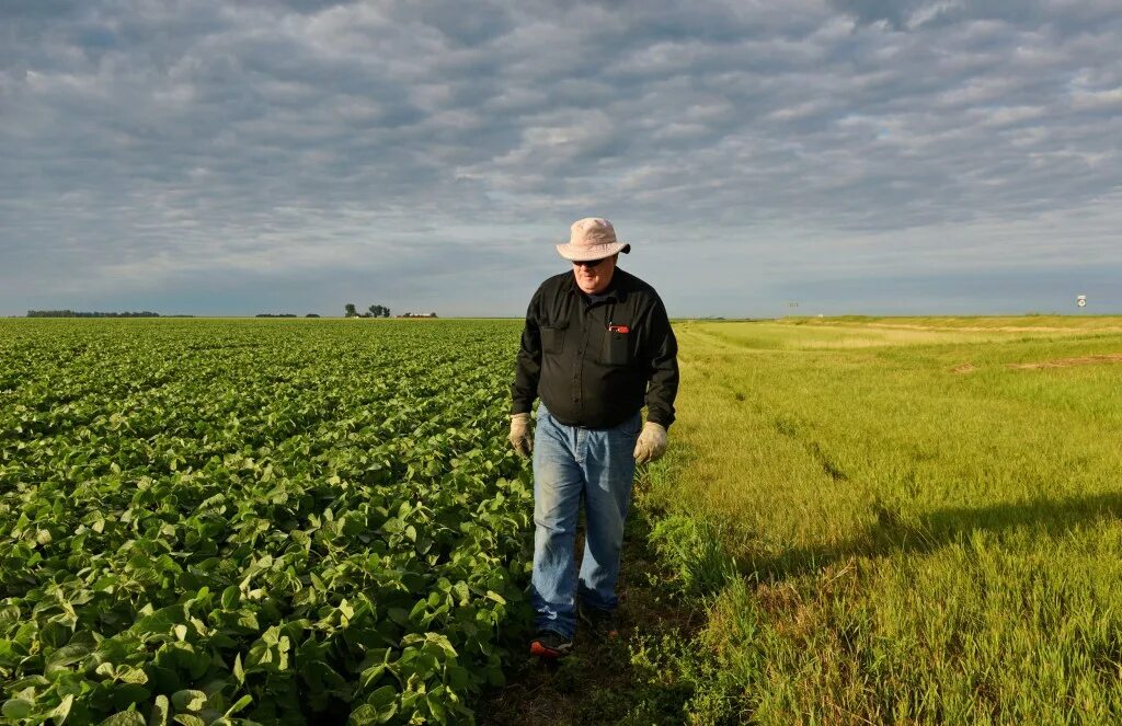 Фермер на поле. Farmer. фото фермера с иновациямим.