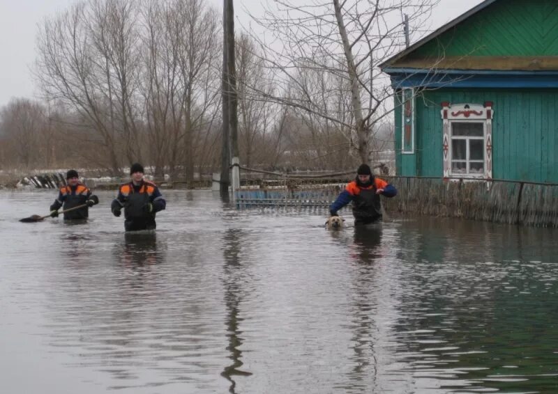 Уровень воды в исети сегодня. Река в Далматово Курганская область. Далматово речка Исеть. Курганская область наводнения. Наводнения Далматово.