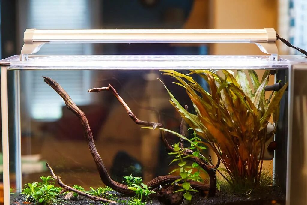 Fluval Aquasky led. Подсветка для аквариума. Свет в аквариуме с растениями. Лайфхак для аквариума.