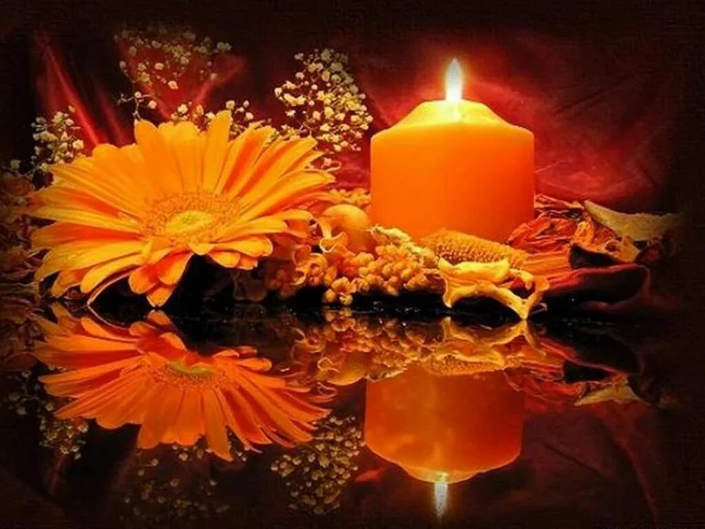 Цветы и свечи. Осень свечи. Свеча оранжевая. Вечер цветы и свечи.