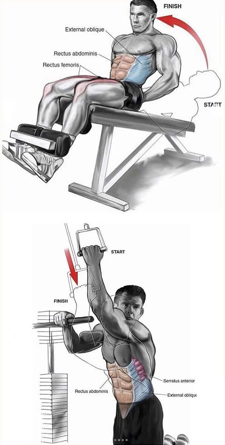 Тренировка пресса в тренажерном зале. Упражнения на пресс в тренажерном зале для мужчин. Упражнения ня на пресс в заое. Упражнения для мышц пресса для мужчин в тренажерном зале. Пресс в тренажерном зале для мужчин.
