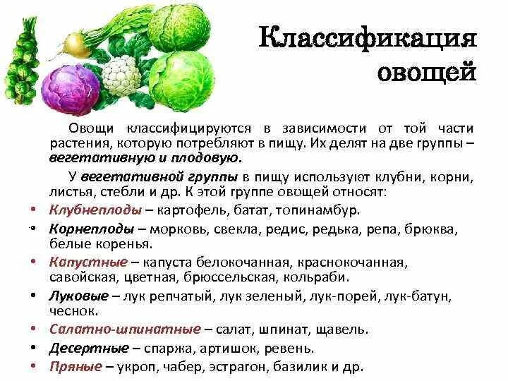 Классификация овощей. Овощи классификация овощей. Классификация свежих плодов и овощей. Классификация овощей вегетативная и плодовая. Комплексное использование плодов и овощей