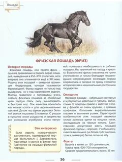 Монолог описание лошади