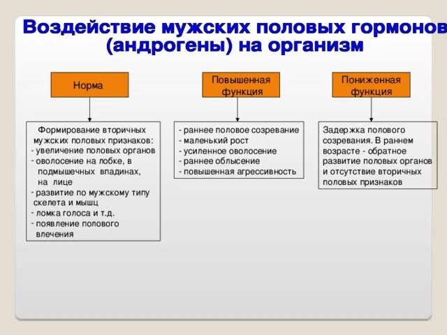 Формированию вторичных половых признаков способствует гормон. Половые железы гормоны и функции. мужские половые гормоны и их функции. половые железы влияние. половое созревание гормоны.