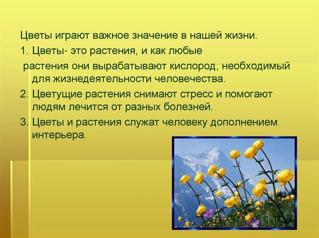Какое значение цветка. Цветочно-декоративные растения их значение в жизни человека. значение цветов в жизни растений. цветок жизни значение. роль цветов в природе.