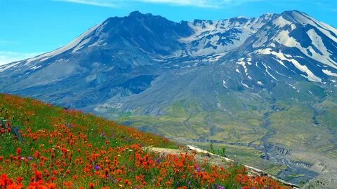 Mt st helens