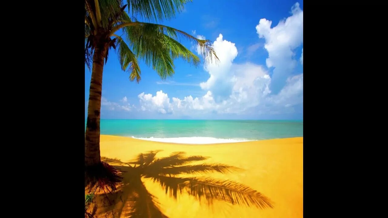 Песня хочу солнца хочу моря. Море солнце пляж вот что хочется сейчас. Море солнце Чайки пляж вот что. Хочу солнце море. Солнце море Чайки пляж вот что хочется сейчас.