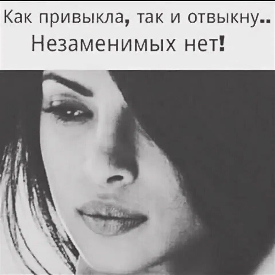 Привыкай я так решил читать. Как привыкла так и отвыкну. как привыкла так и отвыкну незаменимых. незаменимых нет. как привыкла так и отвыкну незаменимых нет картинки.