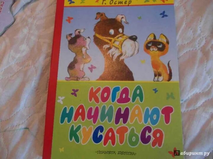 Что делать ребёнок кусается в детском саду делать. Консультация для родителей в детском саду кусаться. Если ребенок кусается консультация для родителей. Котенок гав намордник. Ребёнок кусается в детском саду.