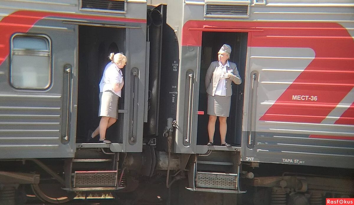 проводница выкинула из вагона