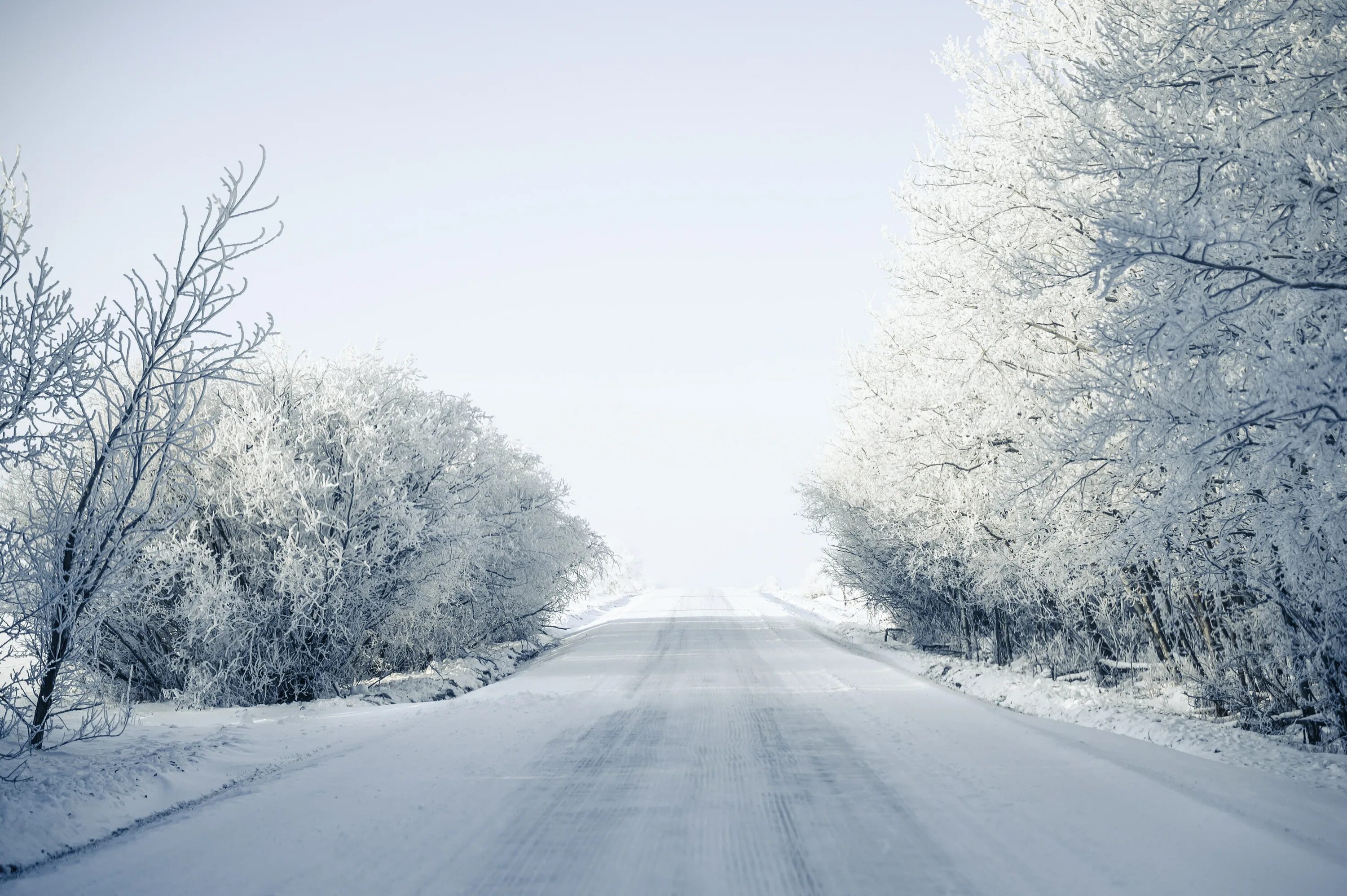 На дороге снег лежит. Зима дорога. Заснеженная дорога. Снег на дороге. Зима снег.