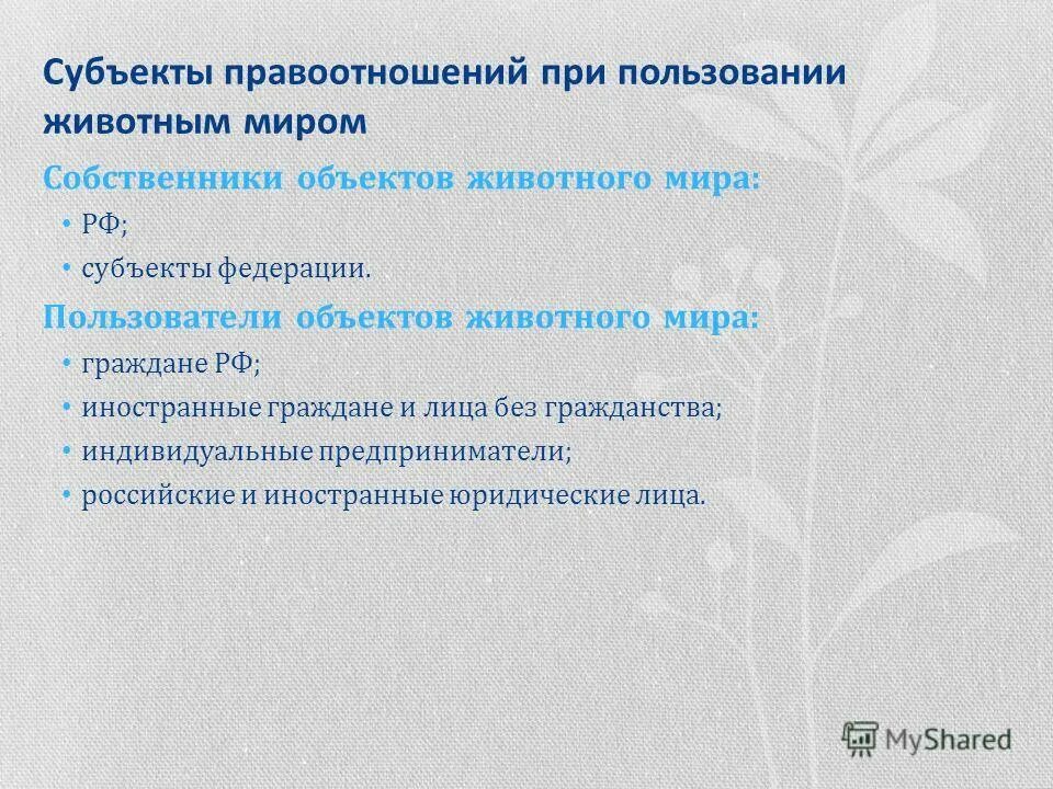 Право пользования животным миром и его виды. Право пользования животным миром и его виды