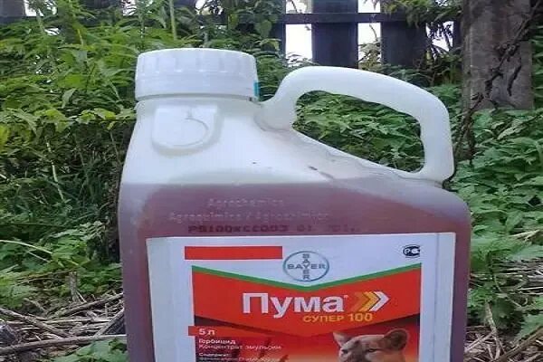 Пума 100 гербицид инструкция. Пума 100 гербицид. пума 7.5 гербицид. тарга супер гербицид.