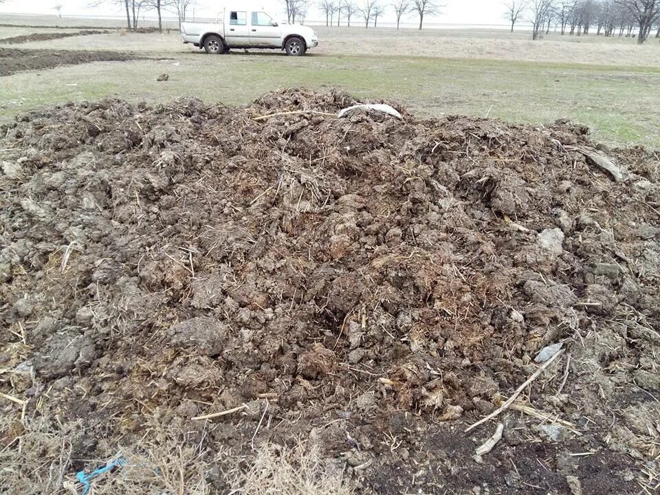 Свалки навоза. Свалки навоза и помета. Скотомогильник сибирской язвы. День навоза