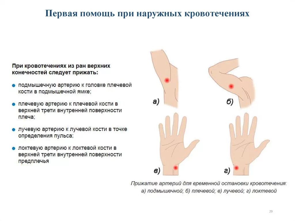 При сильном кровотечении нужно. Последовательности этапы первой помощи при наружном кровотечении.. Алгоритм первой помощи при наружном кровотечении по пунктам. Последовательность оказания 1 помощи при наружном кровотечении. Сообщение оказание первой помощи при наружном кровотечении.