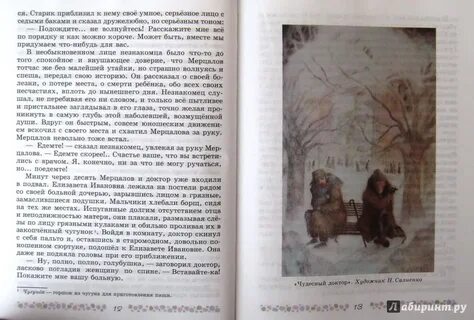 Краткий пересказ чудесный доктор от лица мерцалова