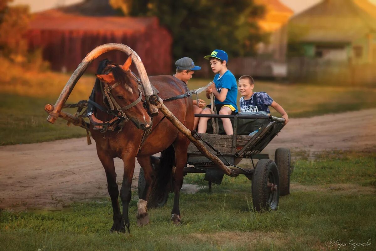 Фотосессия с телегой. Катание на лошадях в деревне. Мальчик на телеге в деревне. Деревенский мальчик на лошади.