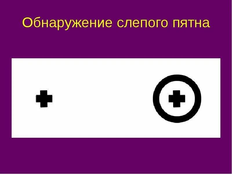 Обнаружение слепого пятна практическая. Обнаружение слепого пятна. Обнаружен е слепого пятна. Рисунок для выявления слепого пятна.