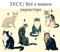 Тест какая ваша