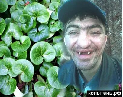 Зубы алкашки