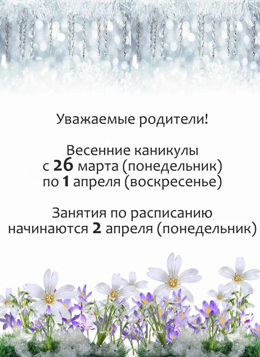 Весенние каникулы в калужской области. Весенние каникулы. С весенними каникулами родители. Уважаемые родители с весенним.