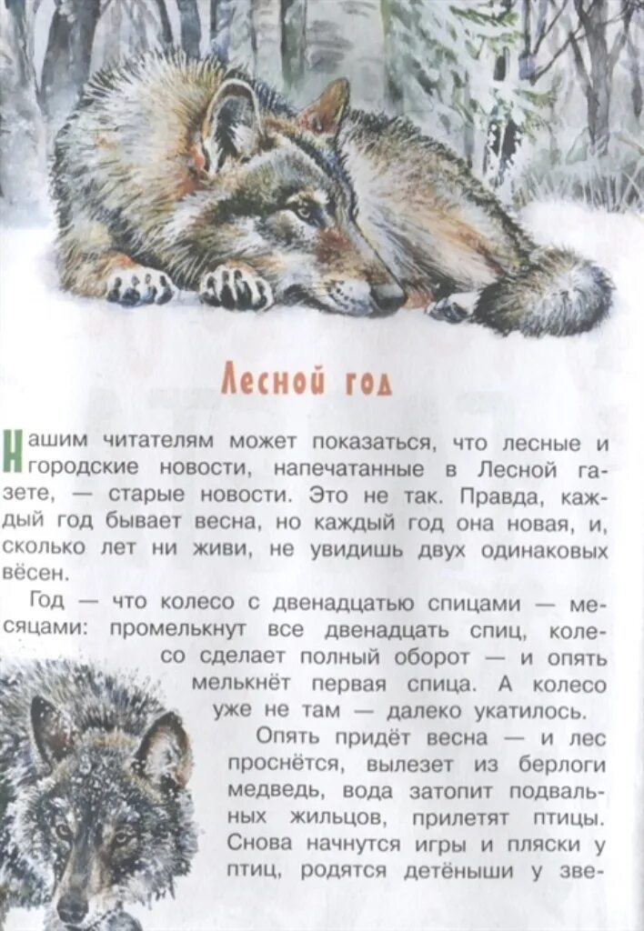 Аннотация к лесной газете 3 класс. Бианки в.в. &quot;лесная газета&quot;. аннотация к книге бианки лесная газета. сказка лесная газета читать. лесная газета бианки распечатать.