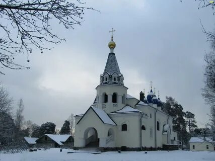 Ломоносов лебяжье