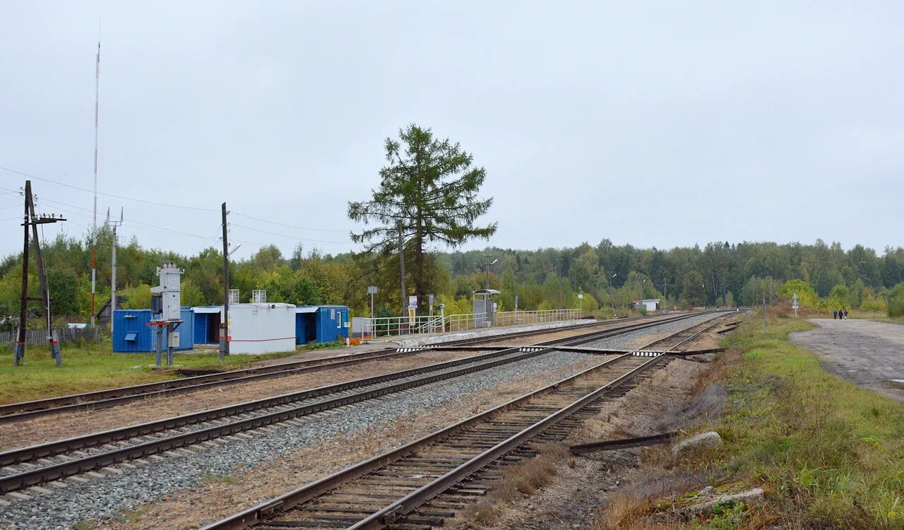 зеленый дол йошкар. зеленый дол станция жд. илеть жд. электричка йошкар-ола казань. зеленый дол марий эл.