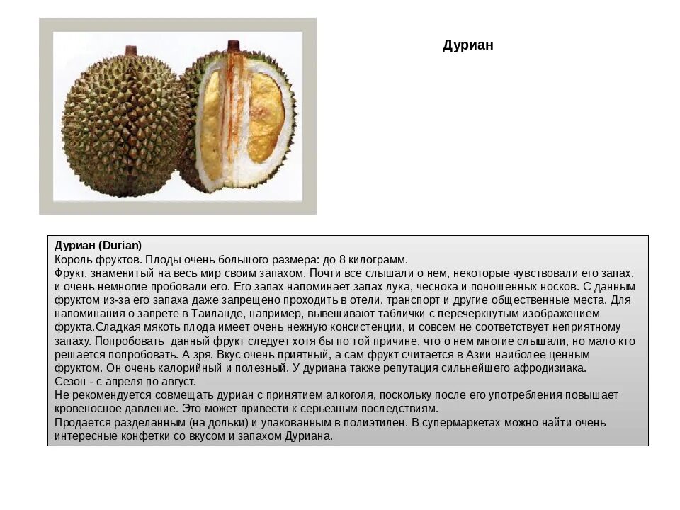 Описание вкуса фруктов. Дуриан семена. Дуриан микроэлементы. Дуриан фрукт противопоказания. Дуриан описание фрукта.