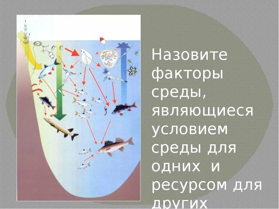 Рациональное природопользование примеры. Проблемы рационального использования природных ресурсов. Экологические факторы ресурсы и условия. Охрана природы и рациональное природопользование. Ресурсом среды является.