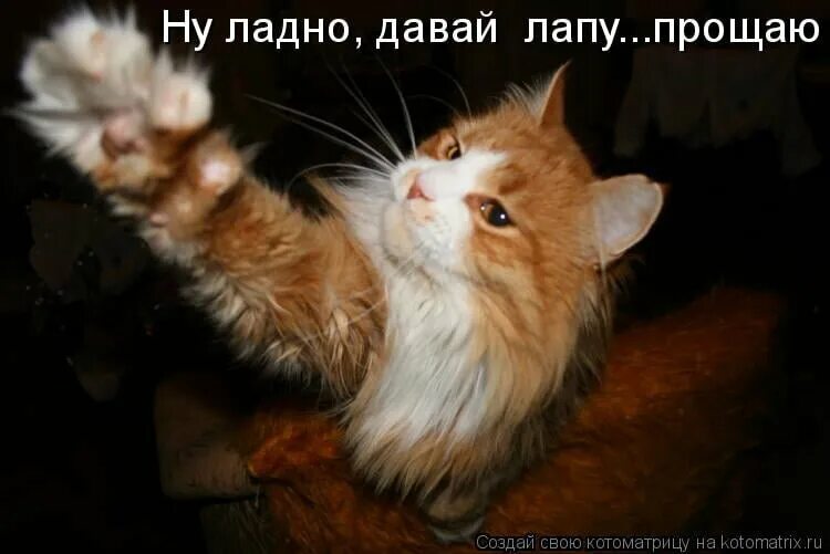 Включи не прощен