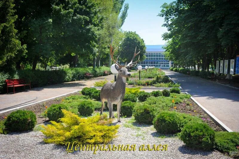 Ростовский хутор красный десант. Лагреь дмитриядевск ростовская область хутор красный десант. Красный десант таганрог пляж. Ростовский хутор красный десант. Красный десант неклиновский район санаторий.