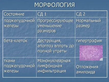 Морфология патология