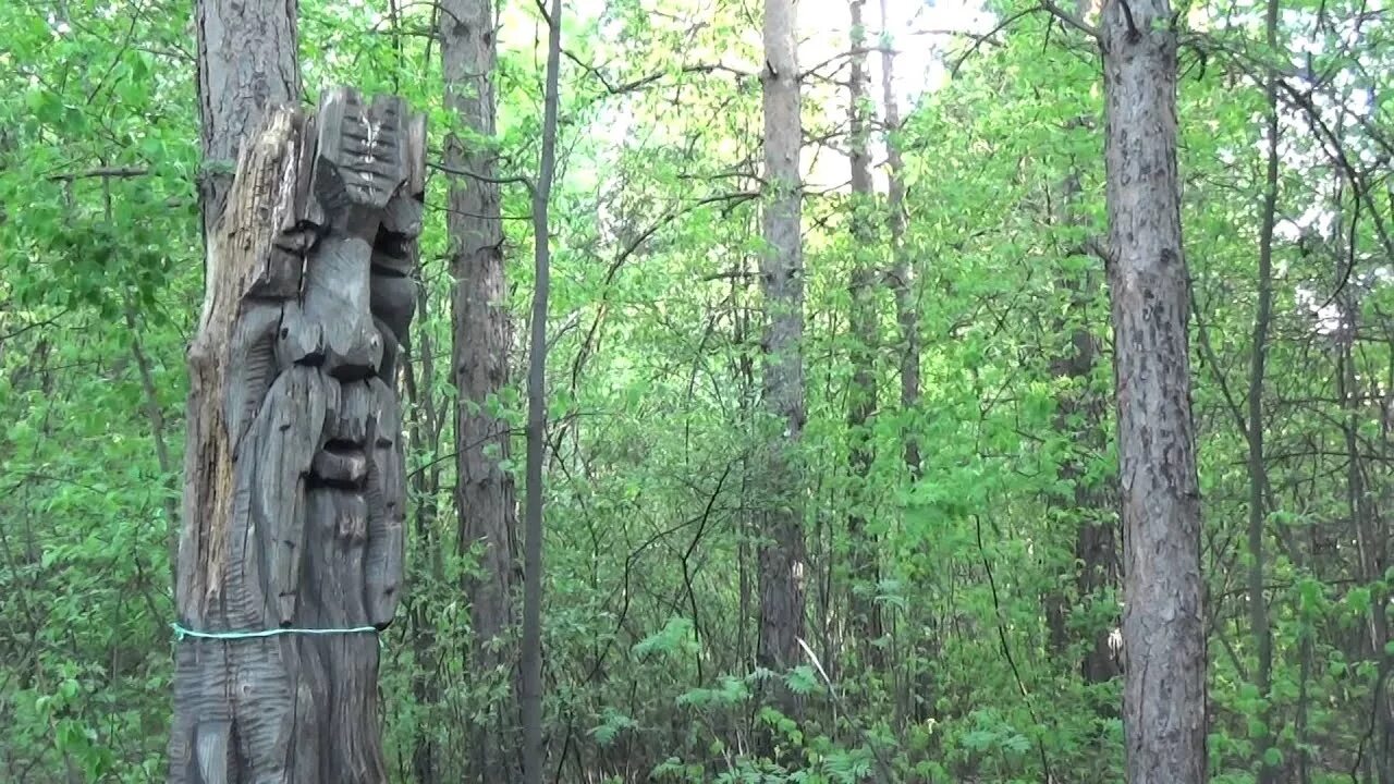 Идолы видео. Поляна идолов Воронеж. Языческие идолы в лесопарке Тропарево Никулино. Вишкиль идол. Парк идолов Карелия.